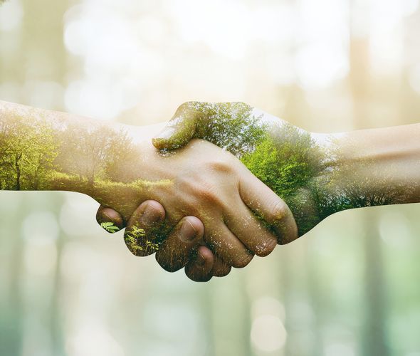 Kariera i praca - Wrocław - Stefanidis